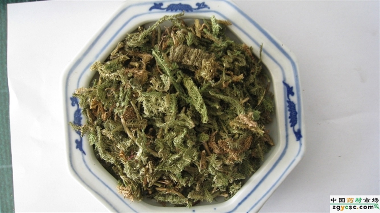 网投十大信誉可靠平台