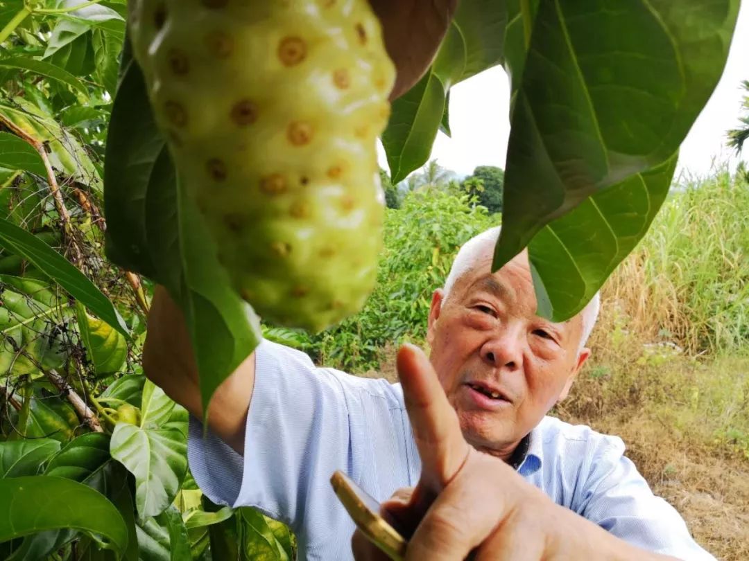 网投十大信誉可靠平台